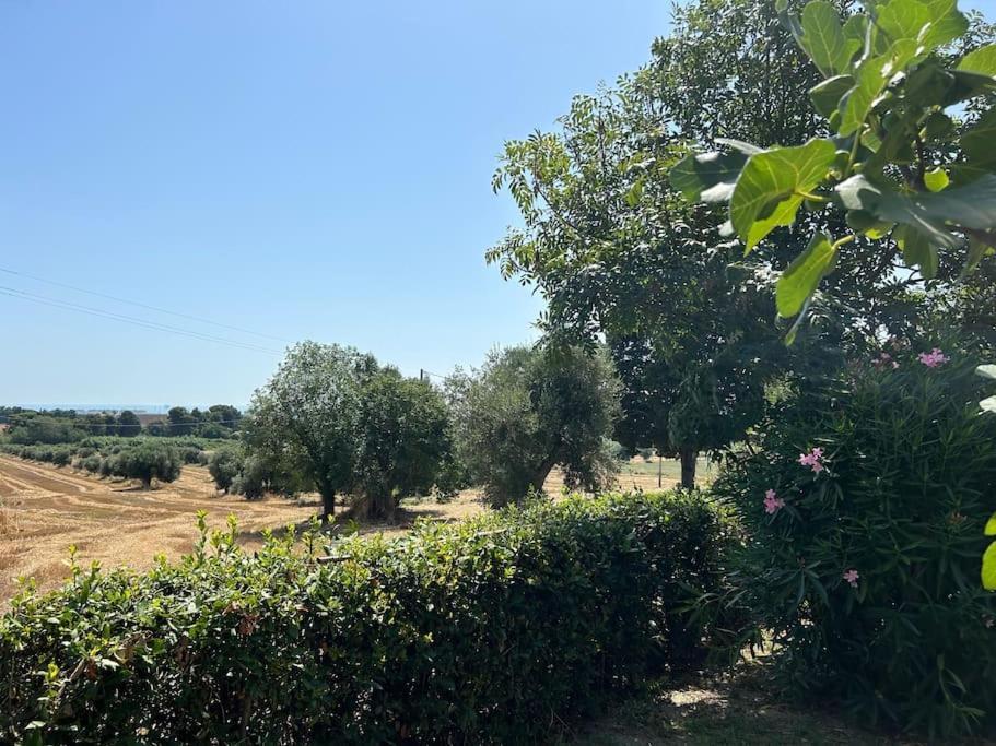 Apartamento La Capparuccia Civitanova Marche Exterior foto